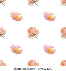 Pink Rose. Pink Peony. Vector illustration. Seamless background pattern. Floral botanical flower. Wild leaf wildflower isolated. Exotic tropical hawaiian jungle. Fabric wallpaper print texture.