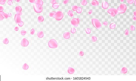 Pink rose petal falling background. Confetti with petals. Vector eps 10. Pink rose petals vector illustration.