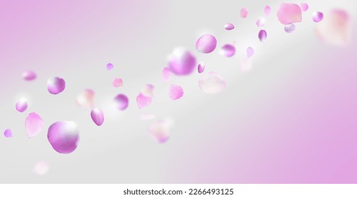 Pink rose petal flow. Sacura or Cherry petals falling on pink background. Flower spring realistic vector