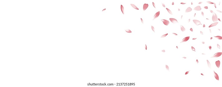 Pink Rose Petal Vector Panoramic Background. White Wedding Apple Petal Backdrop. Flower Petal Blossom Pattern. Romantic Lotus Petal Banner.