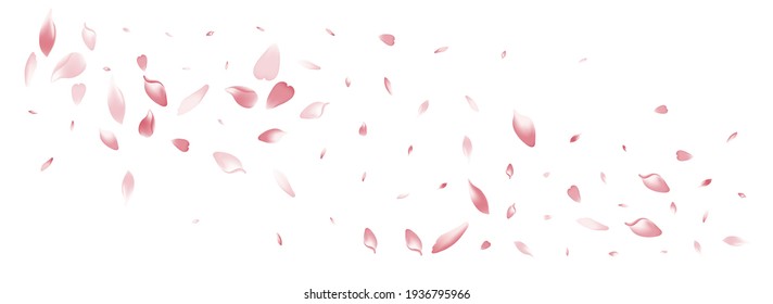 Pink Rose Petal Vector White Background. Color Romantic Lotus Petal Illustration. Peach Petal Japan Congratulation. Falling Apple Petal Template.