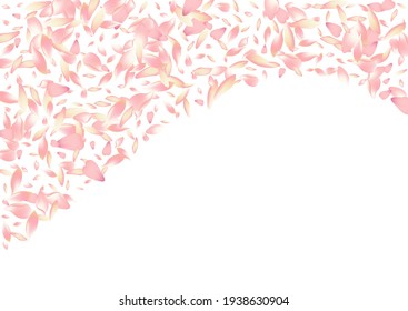 Pink Rose Petal Vector White Background. Purple Wedding Peach Petal Frame. Flower Petal Romance Poster. Free Cherry Petal Banner.
