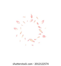 Pink Rose Petal Vector White Background. Pastel Modern Flower Petal Design. Sakura Petal Beauty Cover. Floral Cherry Petal Illustration.