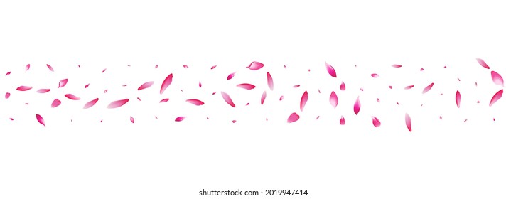 Pink Rose Petal Vector White Background. White Air Apple Petal Banner. Peach Petal Delicate Frame. Fly Cherry Petal Texture.