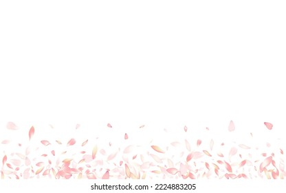 Pink Rose Petal Vector White Background. White Wedding Peach Petal Banner. Cherry Petal Dream Product. 3d Lotus Petal Template.