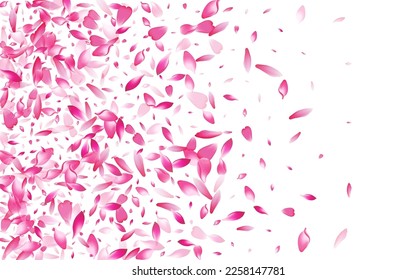 Pink Rose Petal Vector White Background. Pastel Spring Flower Petal Cover. Sakura Petal Wedding Texture. Realistic Apple Petal Congratulation.
