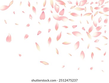 Pink Rose Petal Vector White Background. Color Summer Flower Petal Backdrop. Lotus Petal Free Product. Flying Apple Petal Congratulation.