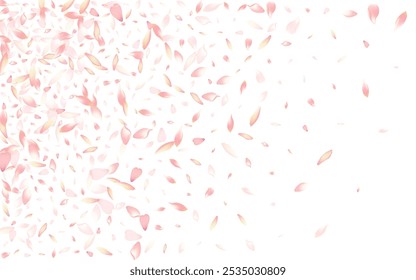 Pink Rose Petal Vector White Background. Pastel Floral Flower Petal Design. Cherry Petal Free Frame. Valentine Lotus Petal Texture.