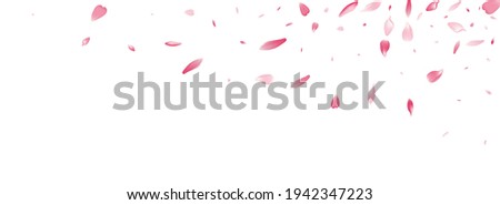 Pink Rose Petal Vector White Background. Transparent Aroma Lotus Petal Design. Peach Petal Springtime Poster. Japanese Cherry Petal Card.