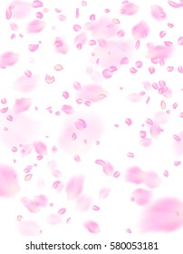 Pink rose petals background. A lot of falling petals on white background. Vector spring template.