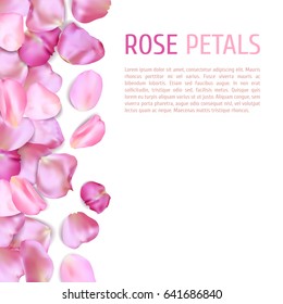 Pink Rose petals border