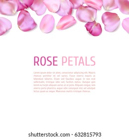 Pink rose petals border isolated on white background. Realistic vector illustration. Wedding invitation or greeting card template