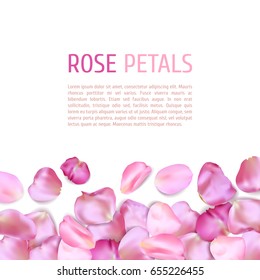Pink Rose petals border on white background. Good for wedding design, invitations and greeting cards
