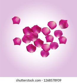 Pink Rose Petals Fall