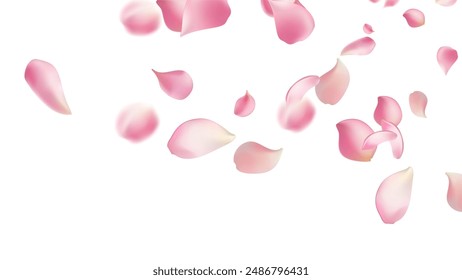 Pink rose petals fall on abstract floral background with gorgeous rose petal greeting card design,Flower flying background,cherry blossom