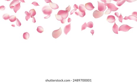 Pink rose petals fall on abstract floral background with gorgeous rose petal greeting card design,Flower flying background,cherry blossom