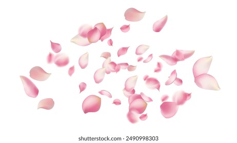 Pétalos de rosa rosa caen sobre fondo floral abstracto con hermoso diseño de tarjeta de felicitación de pétalos de rosa, fondo volador de flores, flor de cerezo