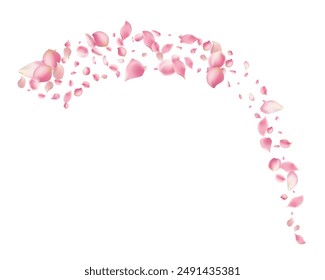 Pink rose petals fall on abstract floral background with gorgeous rose petal greeting card design,Flower flying background,cherry blossom