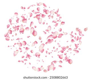 Pink rose petals fall on abstract floral background with gorgeous rose petal greeting card design,Flower flying background,cherry blossom