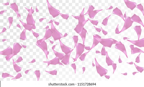 Pink Rose Petals Falling Down. Isolated vector illustration of Rose Petals. Flying Blossom Background. Design of Greeting or Invitation Card. 
