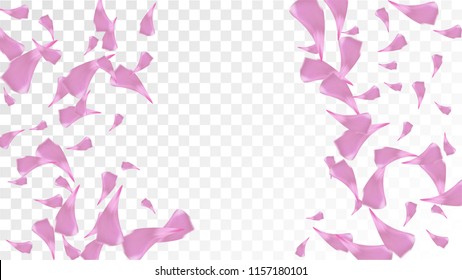 Pink Rose Petals Falling Down. Isolated Vector illustration of Rose Petals. Flying Pink Sakura Blossom Background. Design of Greeting or Invitation Card. 
