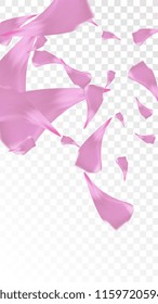Pink Rose Petals Falling Down. Isolated Vector illustration of Rose Petals. Flying Pink Sakura Blossom Background. Design of Greeting or Invitation Card. 
