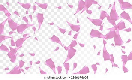 Pink Rose Petals Falling Down. Isolated Vector illustration of Rose Petals. Flying Pink Sakura Blossom Background. Design of Greeting or Invitation Card. 
