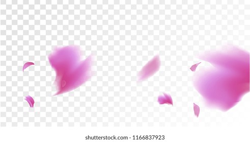 Pink Rose Petals Falling Down. Isolated Vector illustration of Rose Petals. Flying Pink Sakura Blossom Background. Design of Greeting or Invitation Card. 

