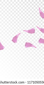 Pink Rose Petals Falling Down. Isolated Vector illustration of Rose Petals. Flying Pink Sakura Blossom Background. Design of Greeting or Invitation Card. 

