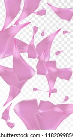 Pink Rose Petals Falling Down. Isolated Vector illustration of Rose Petals. Flying Pink Sakura Blossom Background. Design of Greeting or Invitation Card. 

