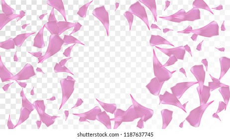Pink Rose Petals Falling Down. Isolated Vector illustration of Rose Petals. Flying Pink Sakura Blossom Background. Design of Greeting or Invitation Card. 
