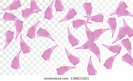 Pink Rose Petals Falling Down. Isolated Vector illustration of Rose Petals. Flying Pink Sakura Blossom Background. Design of Greeting or Invitation Card. 
