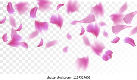 Pink Rose Petals Falling Down. Isolated Vector illustration of Rose Petals. Flying Pink Sakura Blossom Background. Design of Greeting or Invitation Card. 
