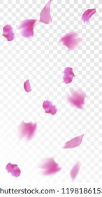 Pink Rose Petals Falling Down. Isolated Vector illustration of Rose Petals. Flying Pink Sakura Blossom Background. Design of Greeting or Invitation Card. 
