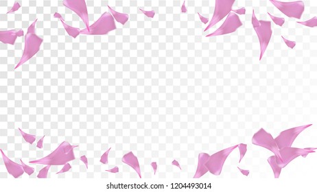 Pink Rose Petals Falling Down. Isolated Vector illustration of Rose Petals. Flying Pink Sakura Blossom Background. Design of Greeting or Invitation Card. 
