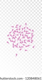 Pink Rose Petals Falling Down. Isolated Vector illustration of Rose Petals. Flying Pink Sakura Blossom Background. Design of Greeting or Invitation Card. 
