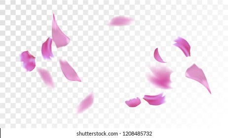 Pink Rose Petals Falling Down. Isolated Vector illustration of Rose Petals. Flying Pink Sakura Blossom Background. Design of Greeting or Invitation Card. 
