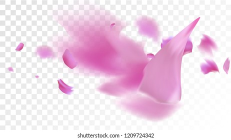 Pink Rose Petals Falling Down. Isolated Vector illustration of Rose Petals. Flying Pink Sakura Blossom Background. Design of Greeting or Invitation Card. 
