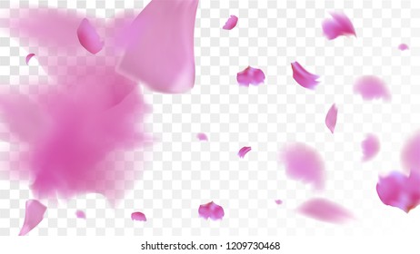 Pink Rose Petals Falling Down. Isolated Vector illustration of Rose Petals. Flying Pink Sakura Blossom Background. Design of Greeting or Invitation Card. 
