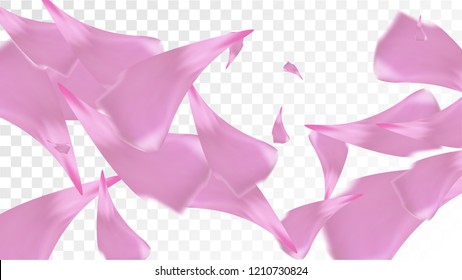 Pink Rose Petals Falling Down. Isolated Vector illustration of Rose Petals. Flying Pink Sakura Blossom Background. Design of Greeting or Invitation Card. 
