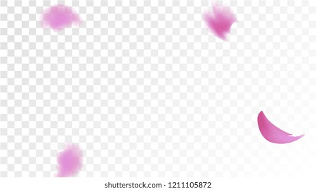 Pink Rose Petals Falling Down. Isolated Vector illustration of Rose Petals. Flying Pink Sakura Blossom Background. Design of Greeting or Invitation Card. 
