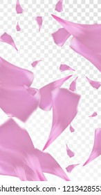 Pink Rose Petals Falling Down. Isolated Vector illustration of Rose Petals. Flying Pink Sakura Blossom Background. Design of Greeting or Invitation Card. 
