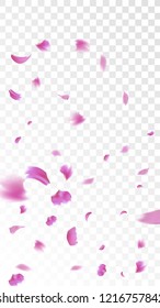 Pink Rose Petals Falling Down. Isolated Vector illustration of Rose Petals. Flying Pink Sakura Blossom Background. Design of Greeting or Invitation Card. 
