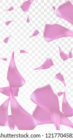 Pink Rose Petals Falling Down. Isolated Vector illustration of Rose Petals. Flying Pink Sakura Blossom Background. Design of Greeting or Invitation Card. 
