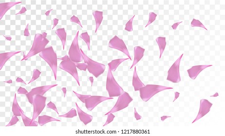 Pink Rose Petals Falling Down. Isolated Vector illustration of Rose Petals. Flying Pink Sakura Blossom Background. Design of Greeting or Invitation Card. 
