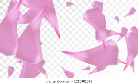 Pink Rose Petals Falling Down. Isolated Vector illustration of Rose Petals. Flying Pink Sakura Blossom Background. Design of Greeting or Invitation Card. 
