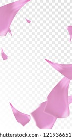 Pink Rose Petals Falling Down. Isolated Vector illustration of Rose Petals. Flying Pink Sakura Blossom Background. Design of Greeting or Invitation Card. 
