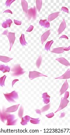 Pink Rose Petals Falling Down. Isolated Vector illustration of Rose Petals. Flying Pink Sakura Blossom Background. Design of Greeting or Invitation Card. 
