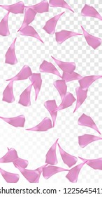 Pink Rose Petals Falling Down. Isolated Vector illustration of Rose Petals. Flying Pink Sakura Blossom Background. Design of Greeting or Invitation Card. 
