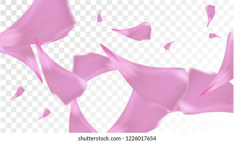 Pink Rose Petals Falling Down. Isolated Vector illustration of Rose Petals. Flying Pink Sakura Blossom Background. Design of Greeting or Invitation Card. 
